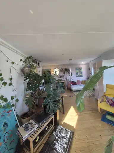 38m2 Camera in affitto per 647€/mese a Pieter Vlamingstraat, Amsterdam