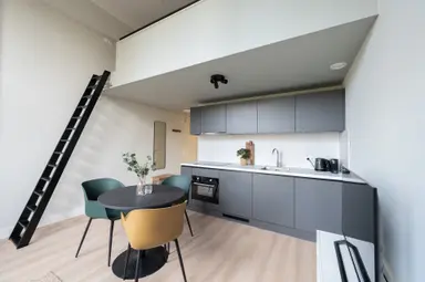 51m2 apartment to rent for 1761€/month in Berg en Dalseweg 79, Nijmegen