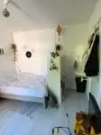14m2 room to rent for 540€/month in Daalseweg, Nijmegen