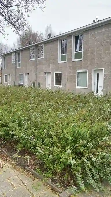 66m2 Appartement te huur voor 679€/maand in Smetanalaan, Eindhoven