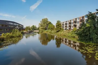 70m2 Appartamento in affitto per 2500€/mese a Frieslandstraat 77, Amsterdam