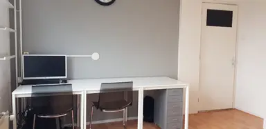 19m2 Camera in affitto per 611€/mese a Ranonkelstraat, Arnhem