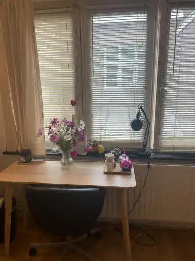 12m2 Kamer te huur voor 465€/maand in Hoenderstraat 13A, Maastricht