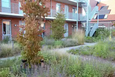51m2 apartment to rent for 889.11€/month in Hogeweg 50-1, Flushing