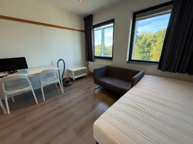 20m2 Studio zur Miete für 1200€/Monat in Beukenlaan, Eindhoven