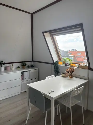 50m2 Appartement à louer pour 815€/mois à Varviksingel, Enschede