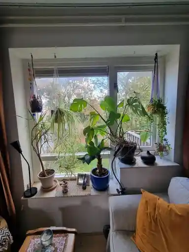 43m2 flat to rent for 550€/month in Nieuwstraat, Zandvoort