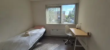 32μ² Δωμάτιο προς ενοικίαση για 875€/μήνα σε Godfried Bomansstraat, Wageningen