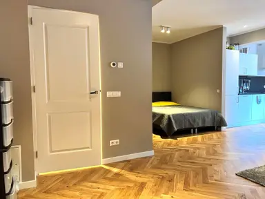 35m2 studio to rent for 1400€/month in Brouwersgracht, The Hague