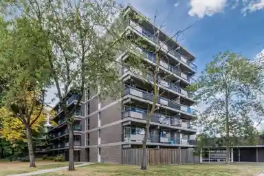 50m2 Appartement à louer pour 1175€/mois à Kastelenplein, Eindhoven