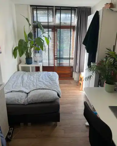 7m2 room to rent for 575€/month in Caspar Fagelstraat, Delft