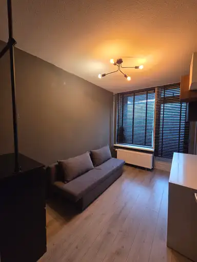7m2 room to rent for 1400€/month in Elisabeth Boddaertstraat, Amsterdam
