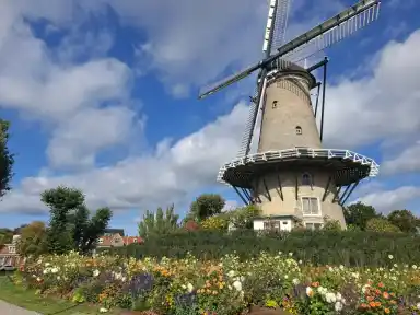80m2 Appartamento in affitto per 604€/mese a Waalstraat, Alkmaar