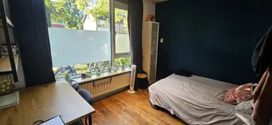 16m2 room to rent for 550€/month in Wegalaan, Groningen