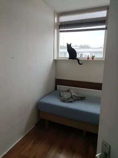 150m2 Zimmer zur Miete für 600€/Monat in Valkenswaardstraat, Tilburg