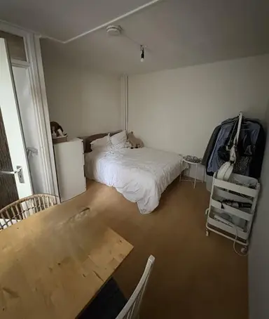 30m2 Appartement te huur voor 1200€/maand in Annastraat, Utrecht