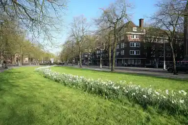 129m2 apartment to rent for 4250€/month in Apollolaan, Amsterdam