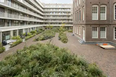 87m2 Appartamento in affitto per 2335€/mese a Plantage Middenlaan 54C-11, Amsterdam