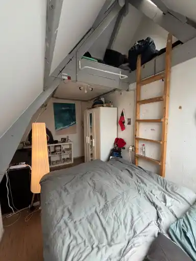 13m2 Camera in affitto per 650€/mese a Oranje Plantage 46, Delft
