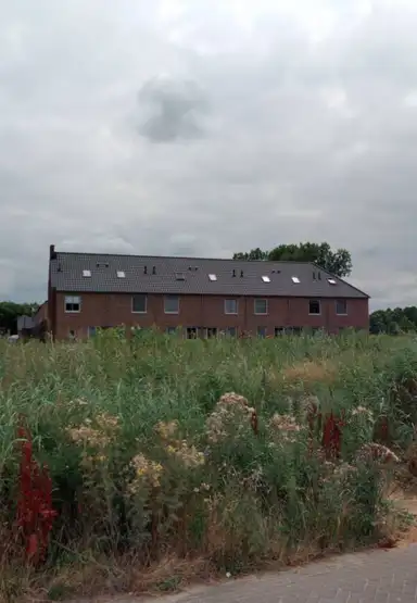 55m2 house to rent for 764.14€/month in De Omgang 10, Veghel