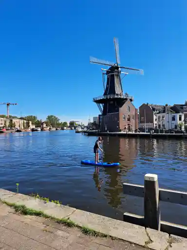 26m2 studio à louer pour 498.2€/mois à Spaarndamseweg 240-0204, Haarlem