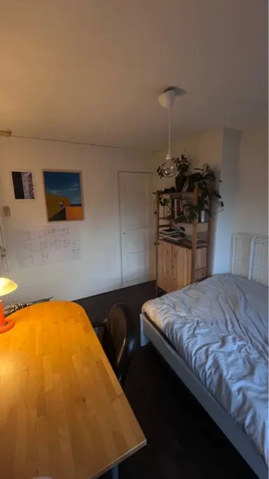 12m2 Zimmer zur Miete für 509€/Monat in Floresplein, Groningen