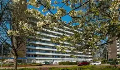 64m2 apartment to rent for 986€/month in Honthorstlaan 62, Alkmaar