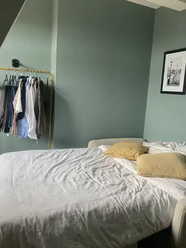 40m2 room to rent for 1250€/month in Steve Bikoplein, Amsterdam