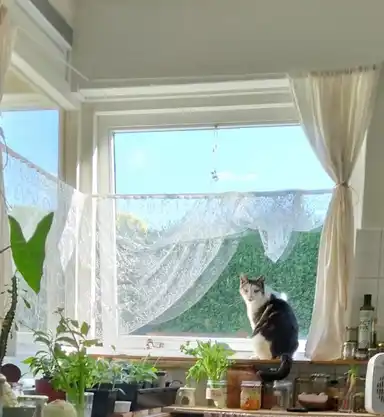 51μ² Διαμέρισμα προς ενοικίαση για 515€/μήνα σε Herenslagen, Steenwijk