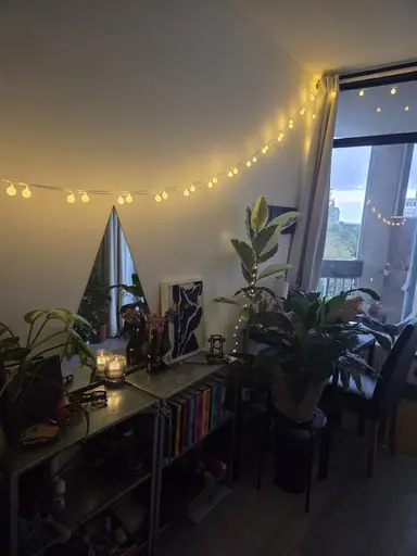 15m2 Kamer te huur voor 800€/maand in Gouden Leeuw, Amsterdam