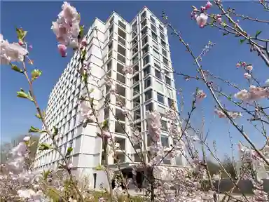 22m2 studio to rent for 577.04€/month in De Lismortel 42-132, Eindhoven
